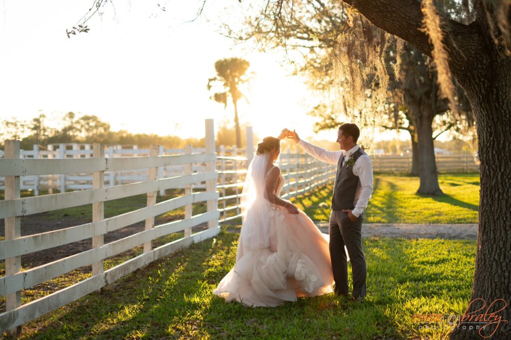 discover your dream image